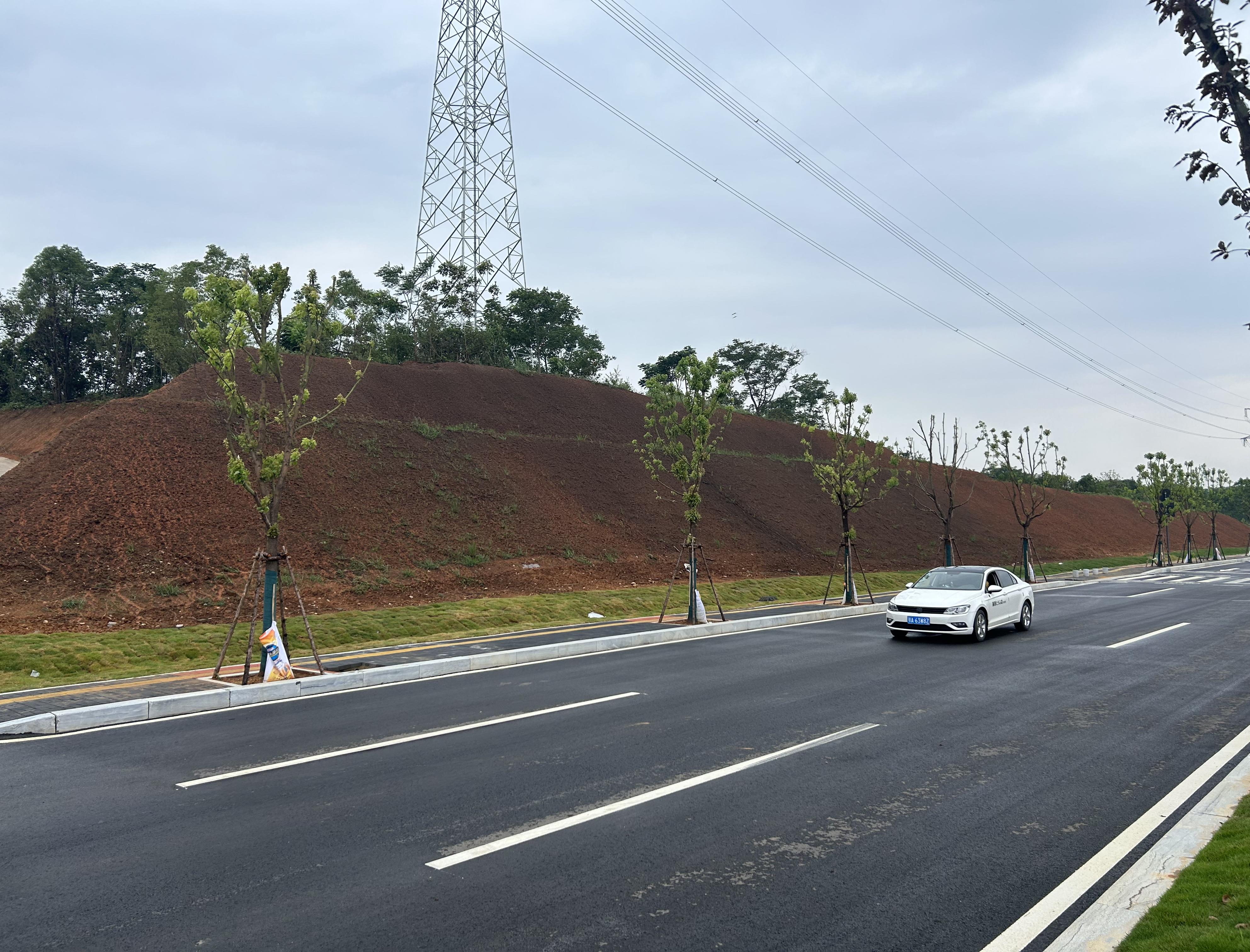白洋臨港大道上段（田家河大道-天螺寺路）綜合市政工程邊坡綠化工程 順利完工！