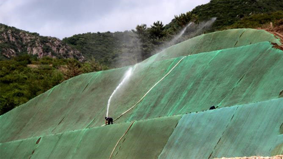 邊坡綠化具體有哪些功能？