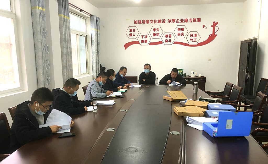 江夏區靈山工礦廢棄地復墾利用試點項目一期工程（類壤土噴播工程、主動防護網及掛網栽植工程）竣工初步驗收會議圓滿結束